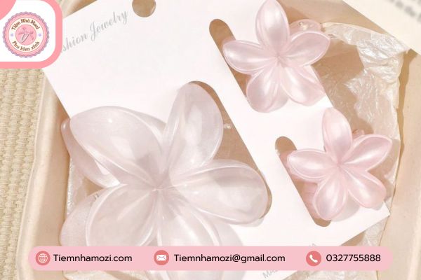 Kho báu kẹp tóc dành cho nàng - Tiệm nhà Mozi